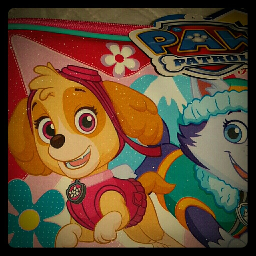 New Paw Patrol zip up lunch bag